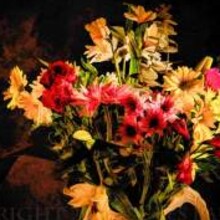 Topaz Simplify-Glow-Impression...